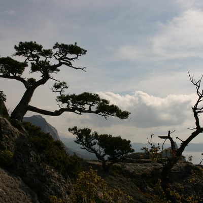 2006, весна. Крым. Севастополь - Крымские Горы - Феодосия - Ленино