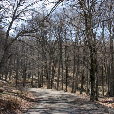 2006, весна. Крым. Севастополь - Крымские Горы - Феодосия - Ленино