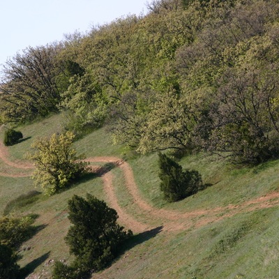 2006, весна. Крым. Севастополь - Крымские Горы - Феодосия - Ленино