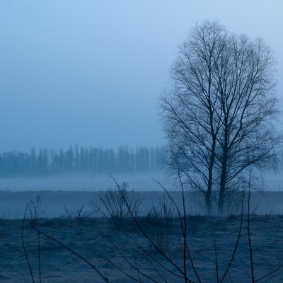 Март, встреча солнышка (ПДН 2010)