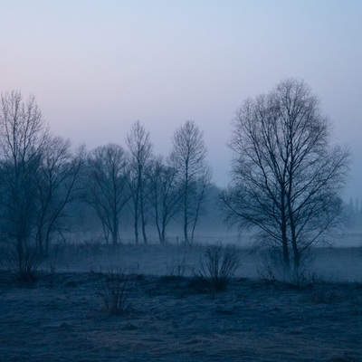 Март, встреча солнышка (ПДН 2010)