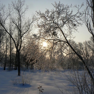 ПДН та Десна: зимовий сезон 2011/2012