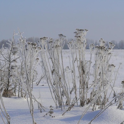 ПДН та Десна: зимовий сезон 2011/2012