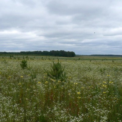 Мегаматрассс східним Поліссям (2011)