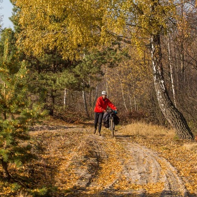 У Полісся за яблучками