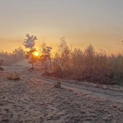 У Полісся за яблучками