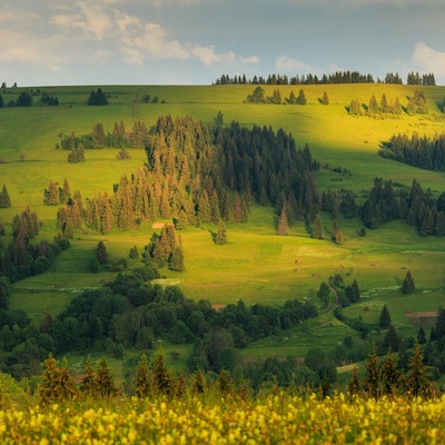 Карпаты в Июне