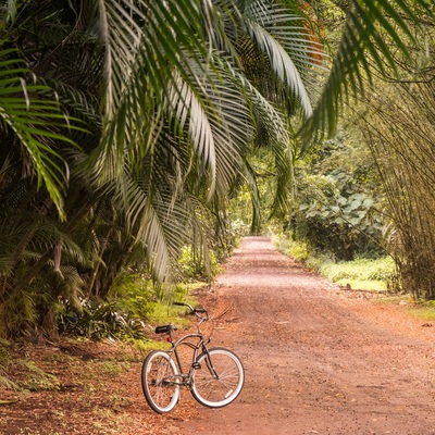 Hawaii. Big Island