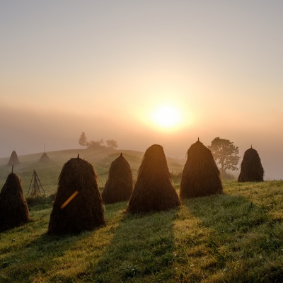 Carpathians in August