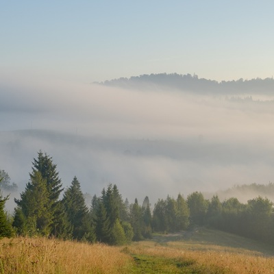 Carpathians in August